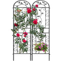 2‑Pack Black Daisy & Bird Arch Garden Trellises