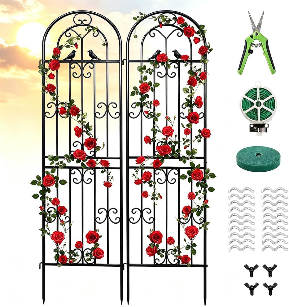 2‑Pack Black Lattice Metal Garden Trellis