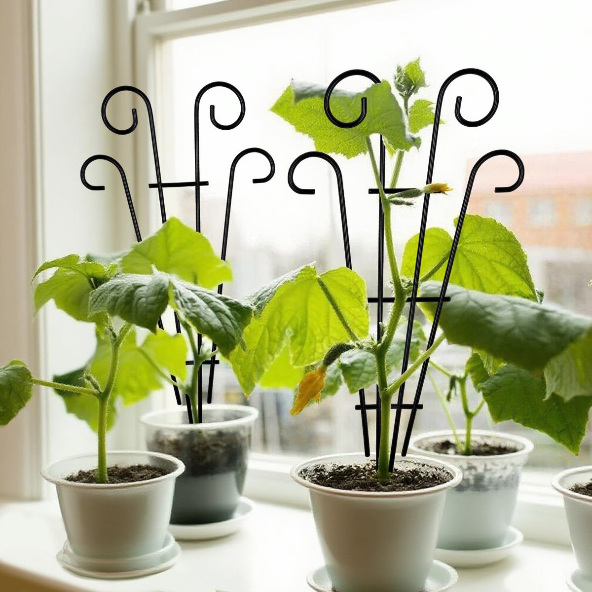 2‑Pack Black Wave Pot Metal Trellis Stakes