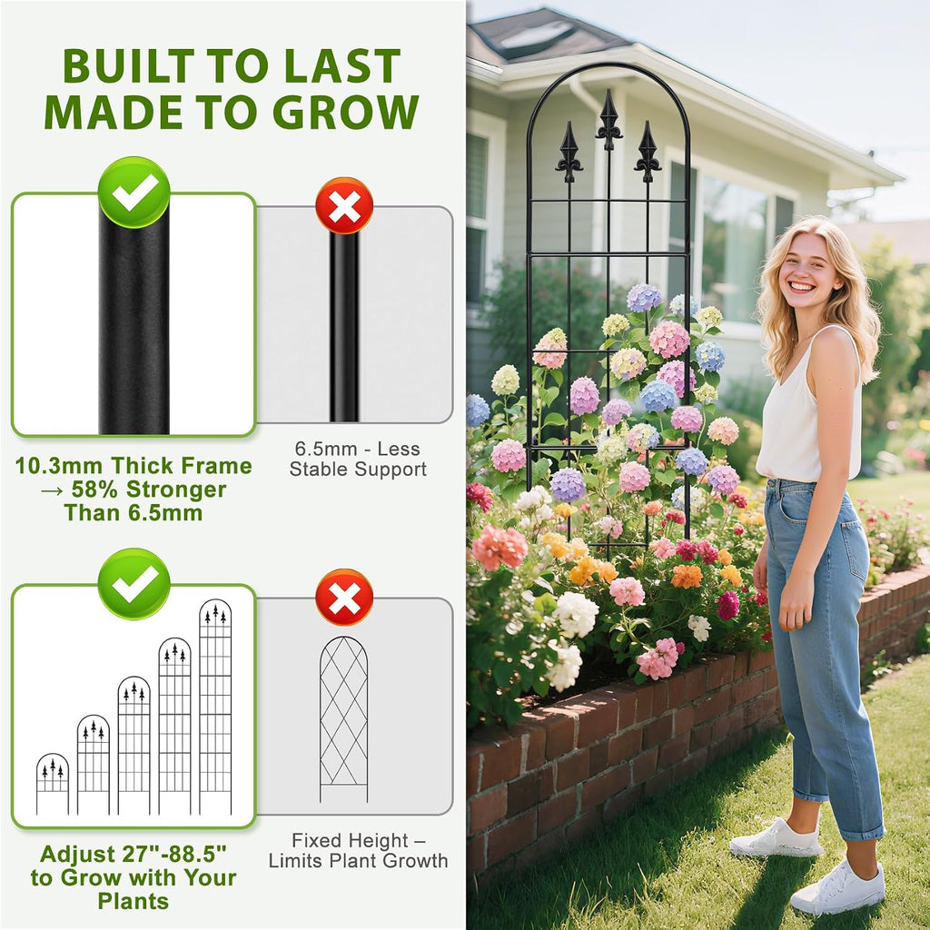 2‑Pack Black Arched Metal Rose Trellis