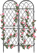 2‑Pack Black Heavy‑Duty Arched Garden Trellis