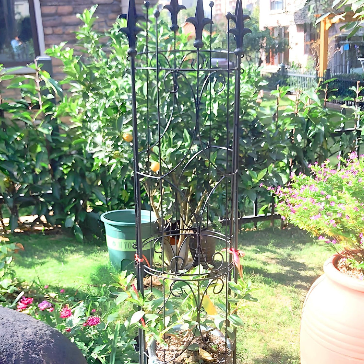 2‑Pack Metal Garden Plant Trellis