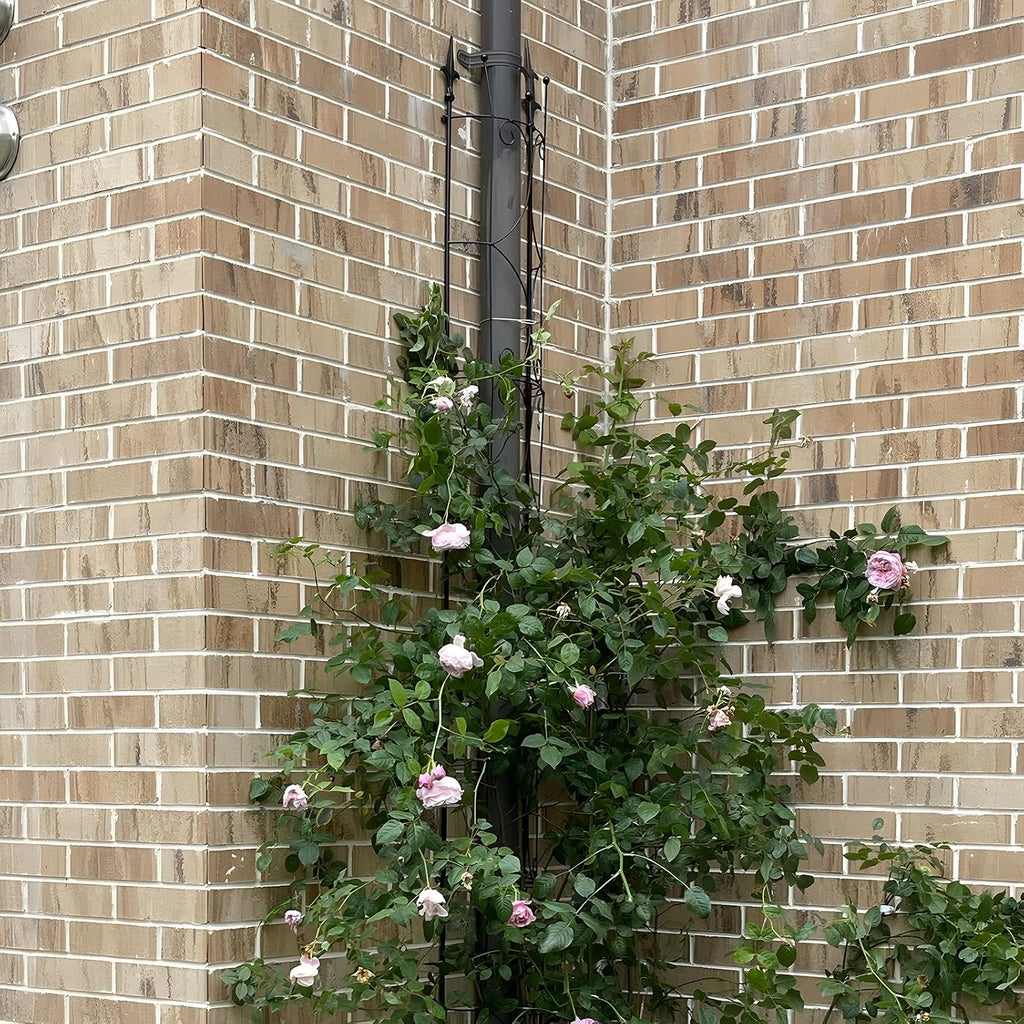 2‑Pack Metal Garden Plant Trellis