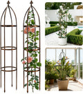 6.3FT Thickened Metal Garden Obelisk Trellis