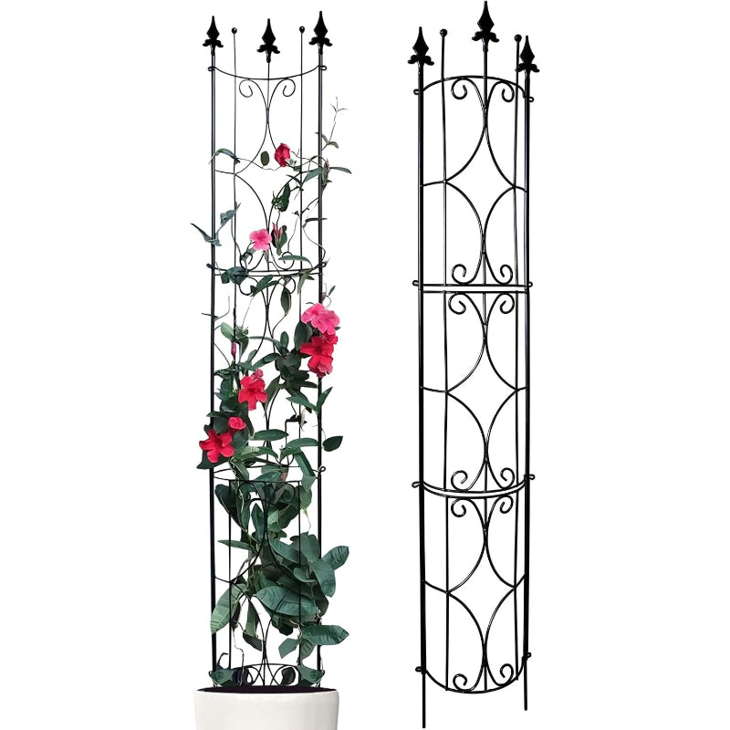 2‑Pack Metal Garden Plant Trellis
